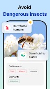Picture Insect: Bug Identifier screenshot 2