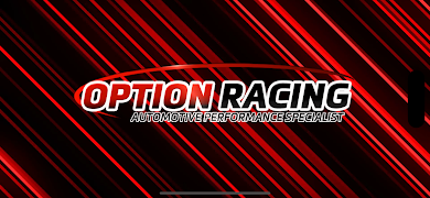 OPTION-MR1 โปสเตอร์