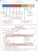 iCU Notes - Critical Care poster