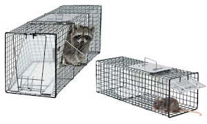 Best Animal Trap syot layar 4
