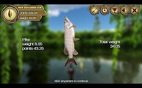 Morning Catch Screenshot 6