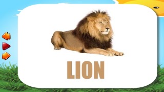 Be Smart স্ক্রিনশট 3