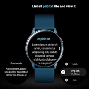 Document Viewer Companion Affiche