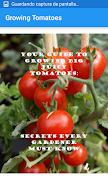 Growing Tomatoes screenshot 1
