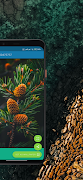 Nature Backgrounds imagem de tela 5