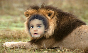 Loin Photo Frames poster