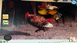 الحيوانات الأليفة Ekran Görüntüsü 3