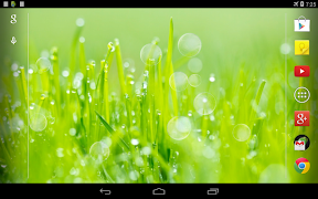 Grass Live Wallpaper screenshot 3