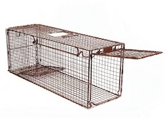 Best Animal Trap poster