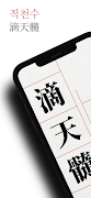 적천수 - 한자, 한문, 부수, 사자성어, 간체자 スクリーンショット 1