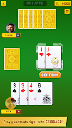 Cribbage ภาพหน้าจอ 4
