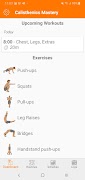 Calisthenics Mastery plakat