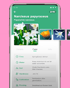 FLOWER IDENTIFIER Ekran Görüntüsü 1