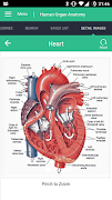 2 Schermata Human Organs Anatomy Reference