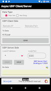 UDP Async Client/Server capture d'écran 3