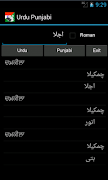 Urdu Punjabi Dictionary screenshot 2