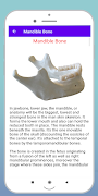 Human Bones screenshot 5