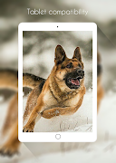 German Shepherd Wallpaper screenshot 6