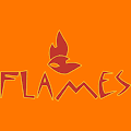 Flames Grill