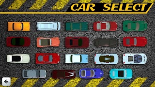 Master Car Driver 截图 1