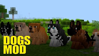 Dogs Mod For Minecraft PE 截图 4