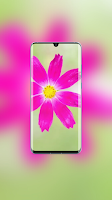 Rose Wallpaper screenshot 3