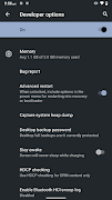 Developer Settings captura de pantalla 7