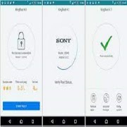 KRAL ROOT Screenshot 5