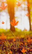 Fall Live Wallpaper imagem de tela 3