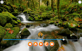 Nature Sounds Relax and Sleep 截图 7