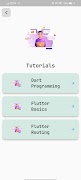 Learn Flutter & Dart Program capture d'écran 1