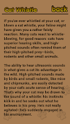 Cat Whistle, Trainer screenshot 4