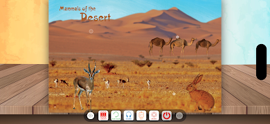 Enviro Spellathon screenshot 2