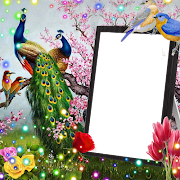 Love Birds Insta DP : Bird DP  screenshot 3