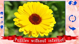 Big puzzles flowers screenshot 7