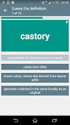 Dictionary Game - Classic Game স্ক্রিনশট 1