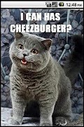Random Lolcat (Donate) скриншот 1