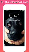 Dogs Labrador Lock screen Dogs ภาพหน้าจอ 1