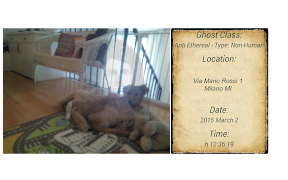 Ghost Camera - Geisterkamera Screenshot 2