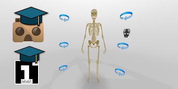 Anatomy VR screenshot 3