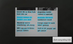 Từ điển Lạc Việt (Anh-Việt) Screenshot 6