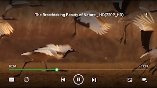 MR Player -  HD Video Player 海报