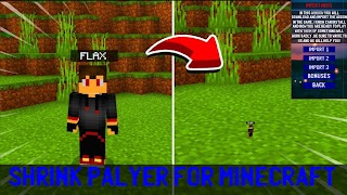 پوستر Shrink Player Mod Minecraft PE