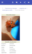 Insect pests screenshot 4
