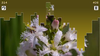 Tris Puzzles captura de pantalla 5