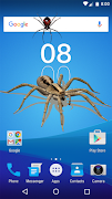 Spider in phone funny joke screenshot 2
