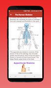 Human Body System poster