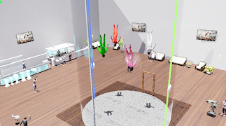 Dynamic Flying Compulsories 截图 6