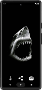 Shark Wallpapers screenshot 4