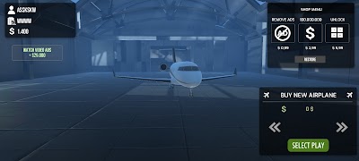 Flight Simulator PRO পোস্টার